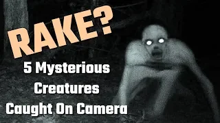 [हिन्दी] 5 Mysterious Creatures Caught On Trail Camera In Hindi | Mythical Creatures