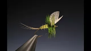 Tying the Yellow mayfly Dun with Barry Ord Clarke