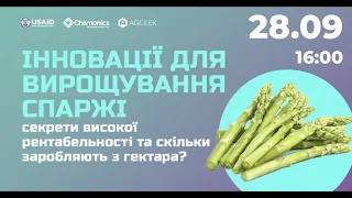 Як вирощувати спаржу? Як заробляти на спаржі?