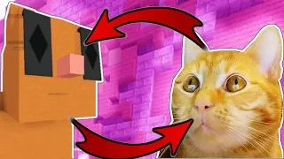 CATTY ÉPÍTÉS! [Minecraft]