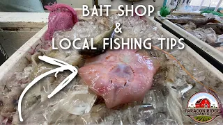 Galveston Beach Local Bait Shop Secrets:   Shark Fishing Tips from San Luis Pass Galveston Texas