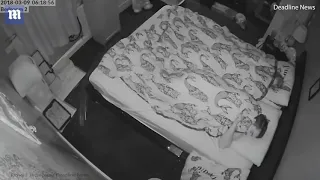 Rabbit wakes up owners in the middle of the night