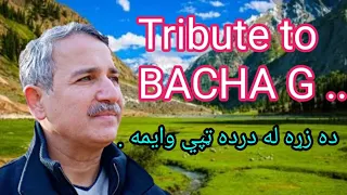 Da zra la darda tapy wayama..... new tapy in Haroon Bacha g style ... subscribe our channel for more