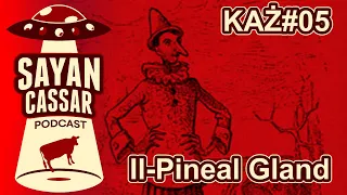 KAZ05: Il-Pineal Gland