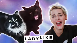 Devin Meets A Pet Psychic • Ladylike