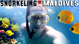 Snorkeling in the Maldives -  World travel vlog 2