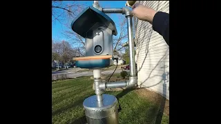 Bird Buddy bird feeder upgrading with Squirrel Proofing and an underground constant power source