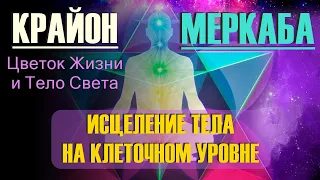 Крайон. МЕРКАБА. Цветок Жизни и Тело Света. Исцеление тела на клеточном уровне. Практика