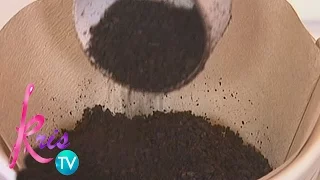 Kris TV: How to brew coffee?