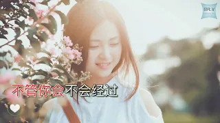 [Karaoke] 追光者 - 岑寧兒（伴奏版）| zhuī guāng zhě - Yoyo Sham