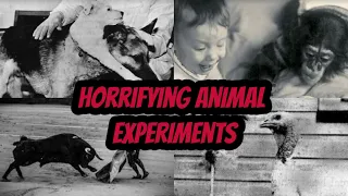13 Horrifying Animal Experiments