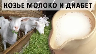 Можно ли козье молоко при сахарном диабете?