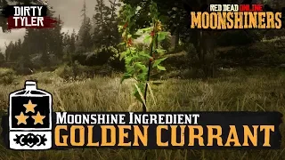Wild Cider Moonshine Ingredient Golden Currant Tall Trees Route Red Dead Online Moonshiners
