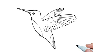 How to draw a Hummingbird easy step by step