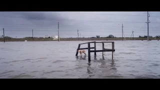 Ураган: Одиссея ветра - Русский трейлер 2016 Full HD