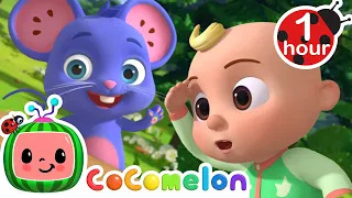 Play Peekaboo with JJ!  | Animals for Kids | Animal Cartoons | Funny Cartoons | Learn about Animals