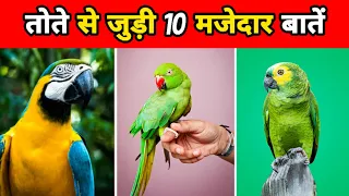 तोते से जुड़ी 10 रोचक बातें  | Interesting Facts About Parrot | Facts About Birds In Hindi | #shorts