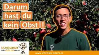 7 Gründe warum Obstbäume keine Früchte tragen - und was du dagegen tun kannst!🌳🍎🍏