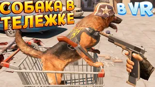 СОБАКА В ТЕЛЕЖКЕ В ВР ( Arizona Sunshine 2 VR )