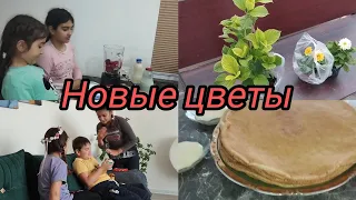 ВЛОГ/ ОДИН ДЕНЬ ИЗ МОЕЙ ЖИЗНИ 🌷ГОТОВКА/ДОМАШНИЙ КОКТЕЙЛЬ