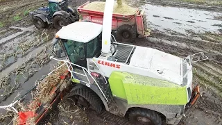 Claas Jaguar 950 w/ Tracks Working Hard in The Mud Doing Corn / Maize Chopping | Häckseln 2017