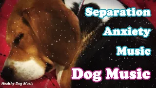 3 HOURS of Deep Sleep Dog Music💖🐶Dog Separation Anxiety Relief Music🐶Dog sleeping Music🎵