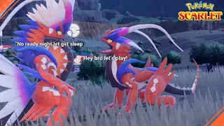 Picnicking at night & Two Koraidon Sleep together - Pokémon Scarlet & Violet