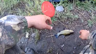 Рыбалка 🎣 на царскую рыбу Линя!!! На реке Тобол!!!