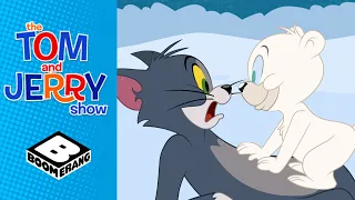 Tom And The Polar Bear | Tom & Jerry Show | @BoomerangUK