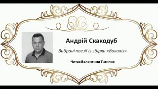 Поезія із збірки "Вокаліз" А. Скакодуб, читає В. Тигипко #литература #стихи