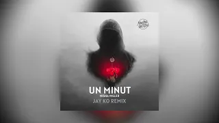 Jay Ko x Misha Miller -  Un Minut Remix