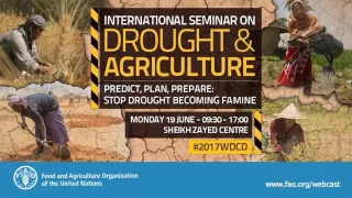 FutureWater at FAO seminar on drought and agriculture: Close the drought management cycle in Vietnam