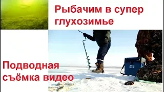 рыбалка в супер глухозимье, рыбы много