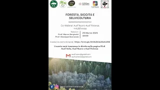 #AUSFinrete: Foreste, Siccità e Selvicoltura