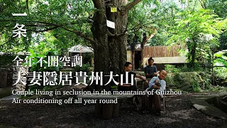 [EngSub] Millennial couple returned to the mountains to live in seclusion, monthly rent of 1,000 RMB