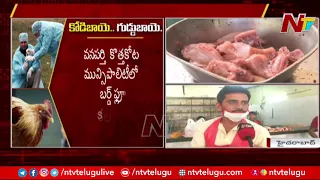 Telangana On Alert After Bird Flu Grips Other States | NTV