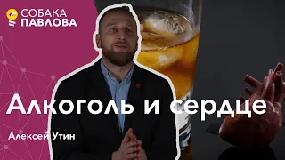 Алкоголь и сердце - Алексей Утин // безопасная доза алкоголя, риски развития рака, сосуды и алкоголь