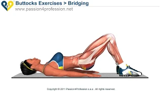 best tone buttocks exercise | reduce buttocks and thighs with bridging exercise | DoctorOz