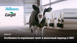 Региональный вебинар по СФО «Особенности кормления телят в молочный период»