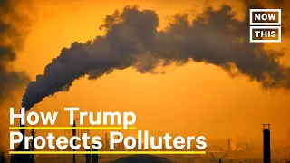 The Lasting Impact of the Trump Admin’s Environmental Policies | NowThis