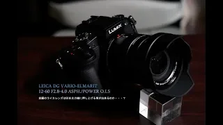 LEICA DG VARIO-ELMARIT 12-60mm / F2.8-4.0でG8を強化！ガンプラ撮影にも！[ライカ]