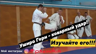 Уширо Гери - самый коварный удар в единоборствах!