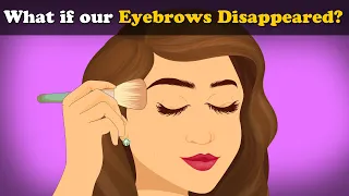 What if our Eyebrows Disappeared? + more videos | #aumsum #kids #science #education #children