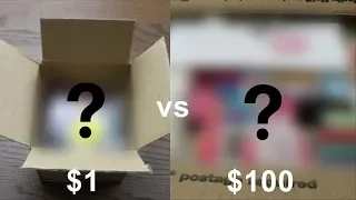 $1 vs $100 Mystery Slime Box