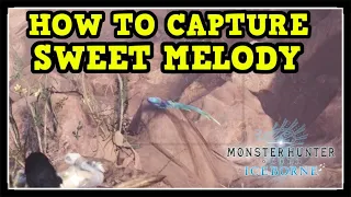 MHW Iceborne Sweet Melody Trophy / Achievement Guide (Beautiful Melody)