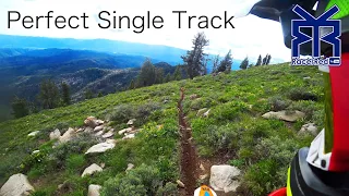 450 Four Stroke on REAL Single Track