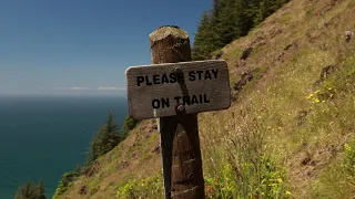 Hiking Cape Perpetua Trail