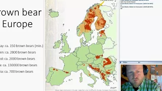 Insights after 10 years of genetic monitoring of brown bears