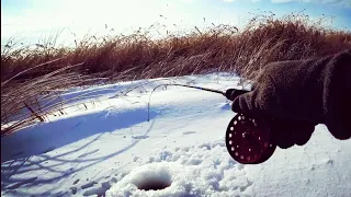 СТОЛЬКО АТАК 1-ОЙ РЫБЫ Я НЕ ВИДЕЛ НИ РАЗУ! Астрахань. Зимняя рыбалка 2021. Ловля щуки и окуня.