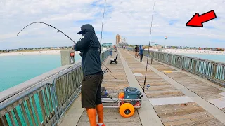 Fishing the Gulf Pier and Caught This! *6 Different Species*